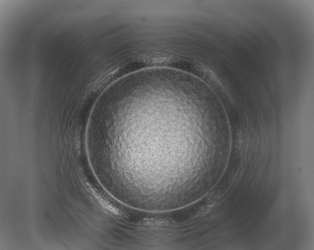 X0000080110545200612151649