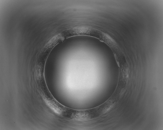 X0000080110546200612151649
