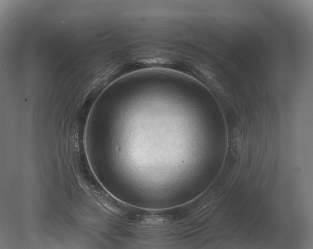 X0000080110547200612151649