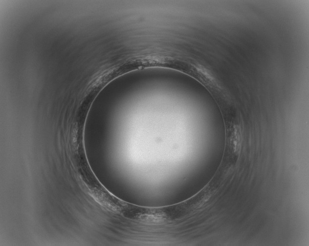 X0000080110548200612151649