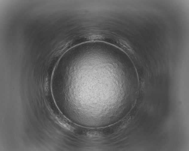 X0000080110549200612151649