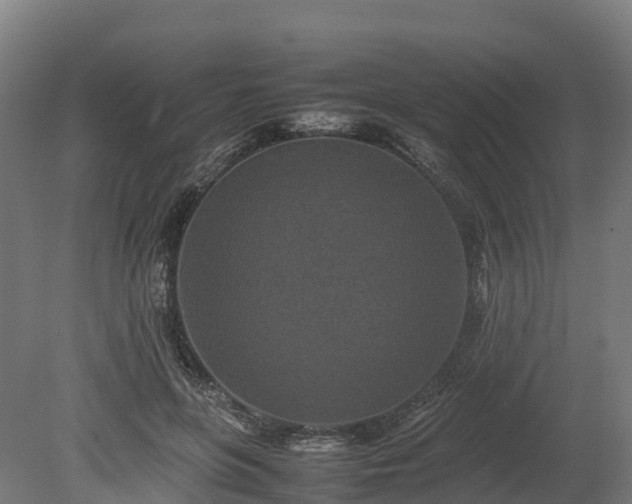 X0000080110551200612151649