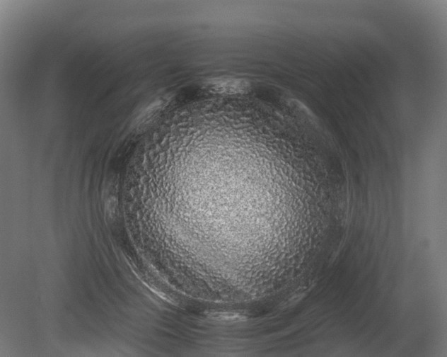 X0000080110553200612151649