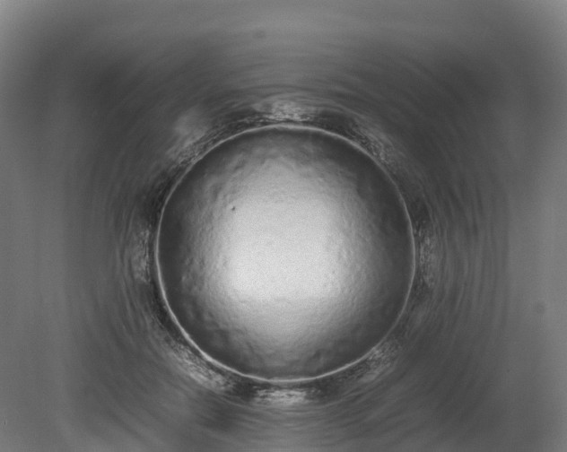 X0000080110554200612151649