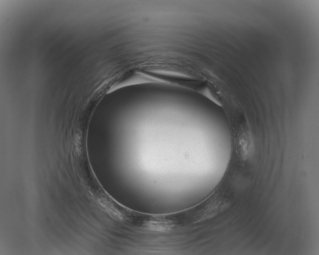 X0000080110556200612151649