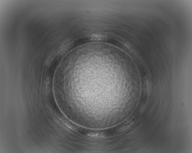 X0000080110557200612151649