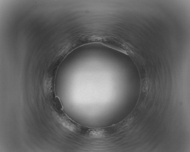 X0000080110560200612151649