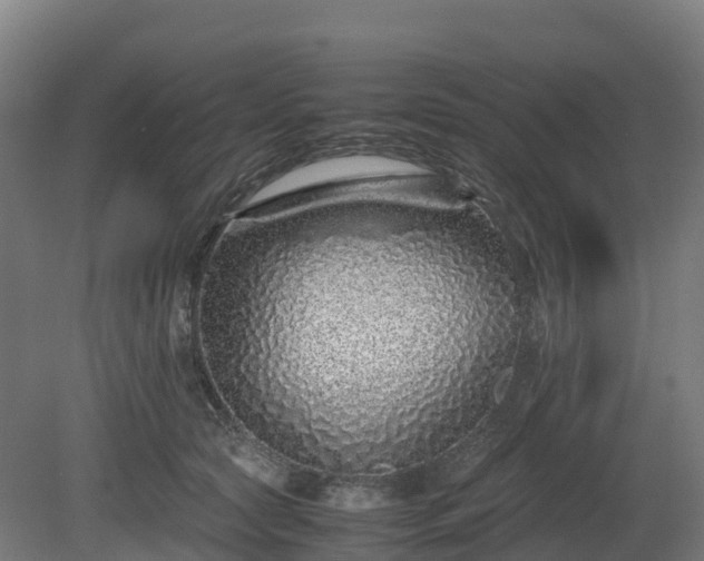 X0000080110561200612151650