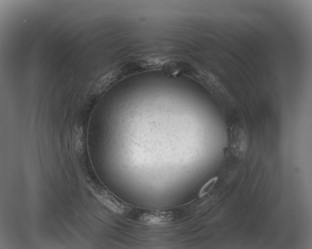 X0000080110563200612151650