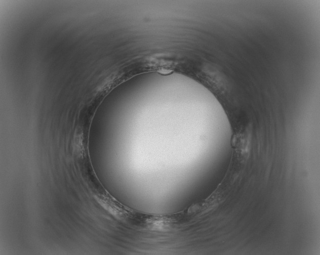 X0000080110564200612151650