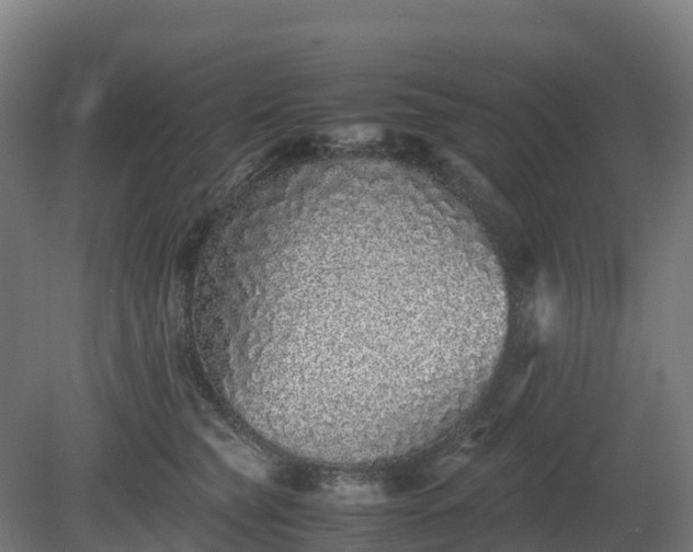 X0000080110565200612151650