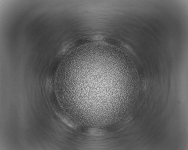 X0000080110568200612151650