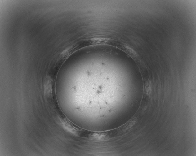 X0000080110570200612151650