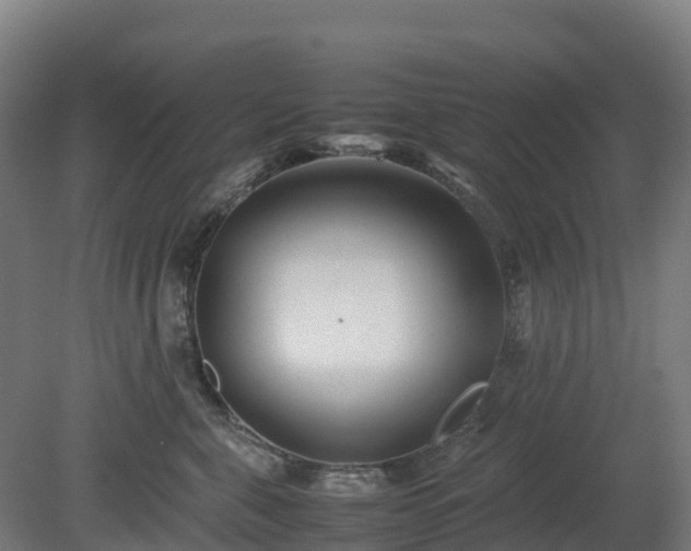 X0000080110571200612151650