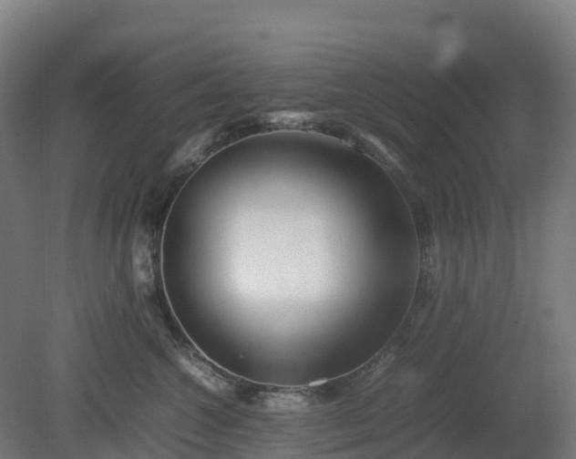X0000080110572200612151650