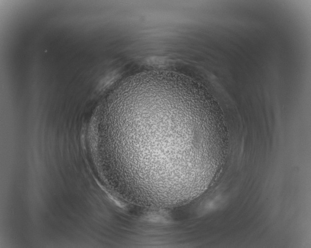 X0000080110576200612151650