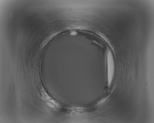 X0000080110577200612151649