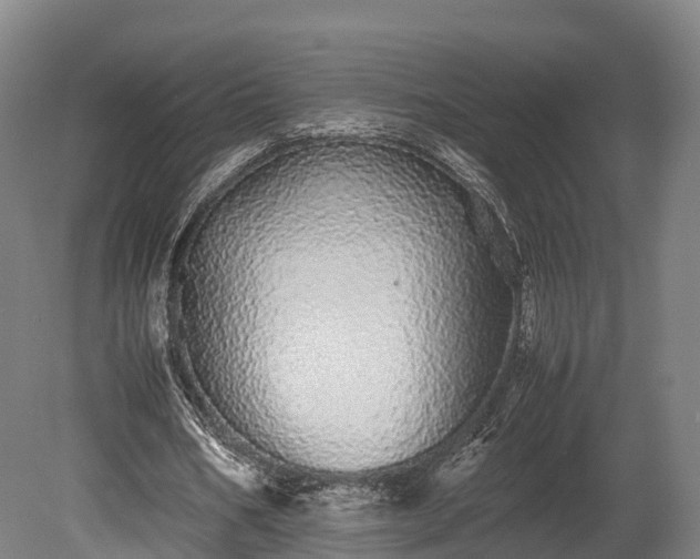 X0000080110578200612151649