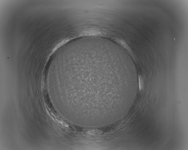 X0000080110579200612151649