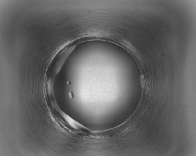 X0000080110580200612151649