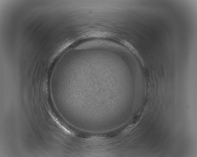 X0000080110581200612151649