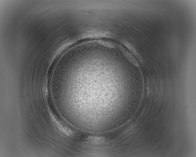 X0000080110582200612151649