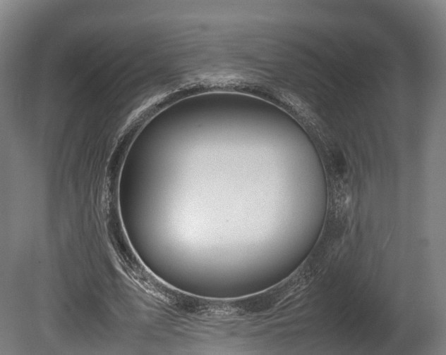 X0000080110583200612151649