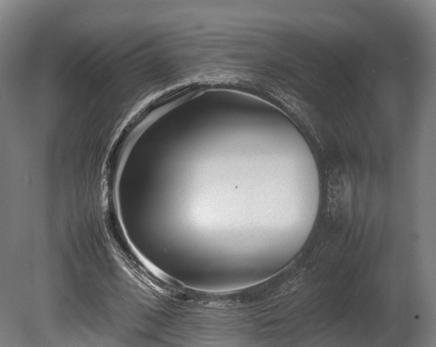X0000080110584200612151649