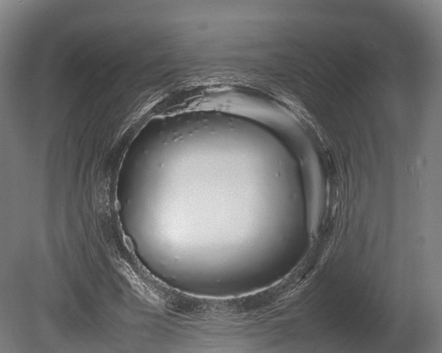 X0000080110585200612151649