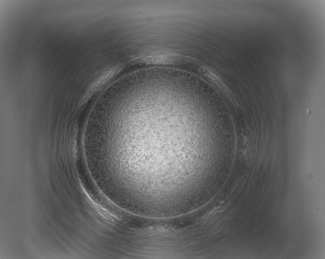 X0000080110586200612151649