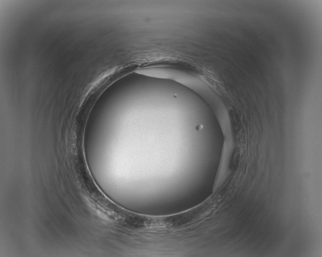 X0000080110587200612151649