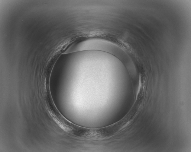 X0000080110589200612151649