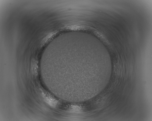 X0000080110592200612151649