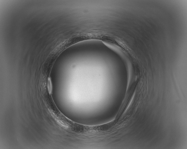 X0000080110593200612151649