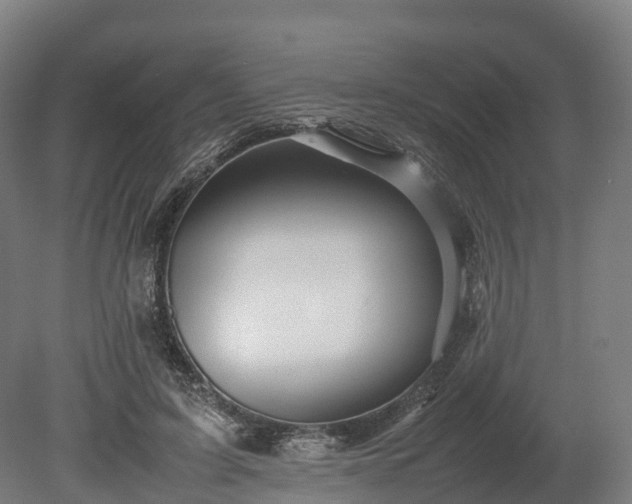 X0000080110595200612151649