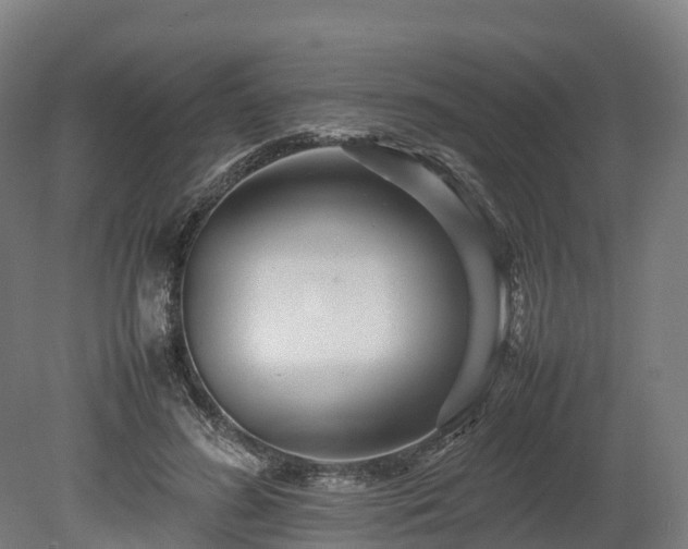 X0000080110596200612151649