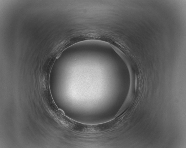X0000080110597200612151649