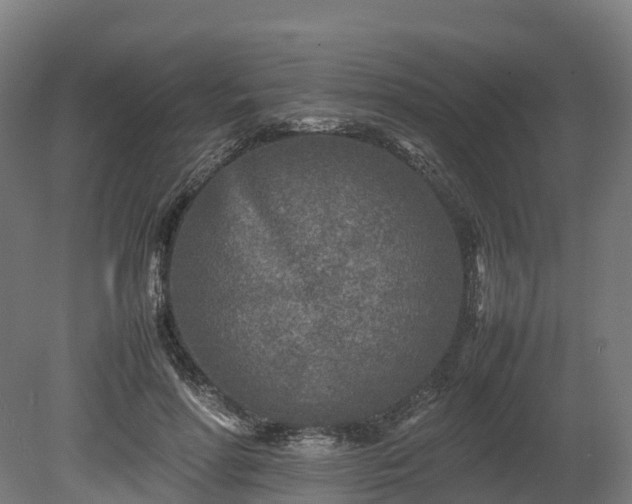 X0000080110598200612151649