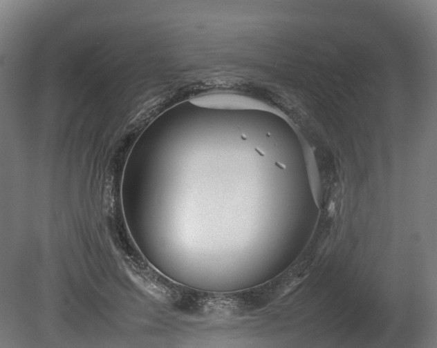 X0000080110599200612151649