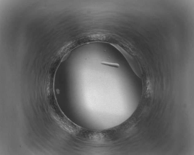 X0000080110600200612151649
