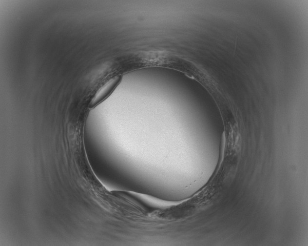 X0000080110601200612151649