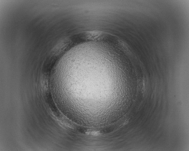 X0000080110602200612151649