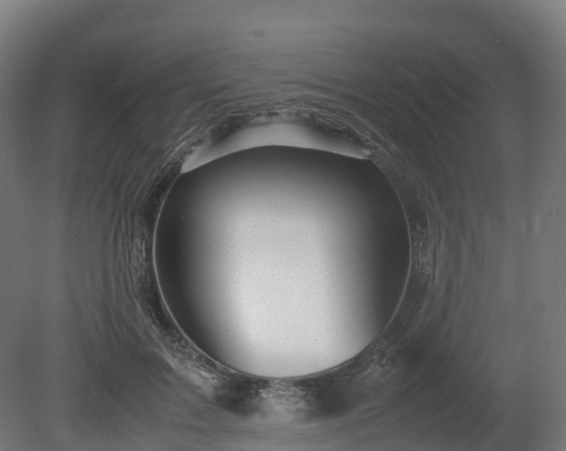 X0000080110603200612151649