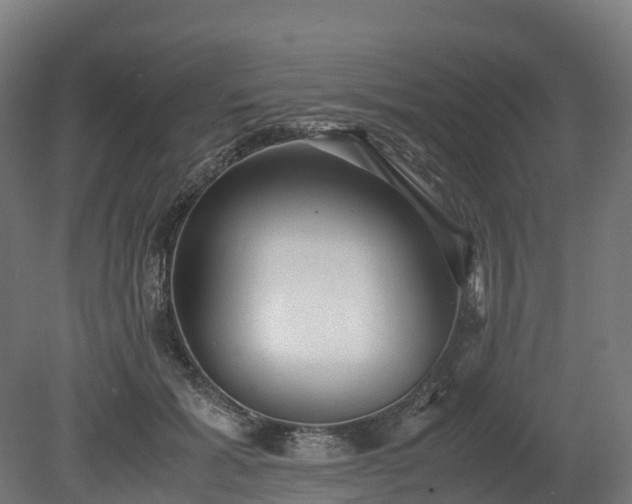 X0000080110605200612151648