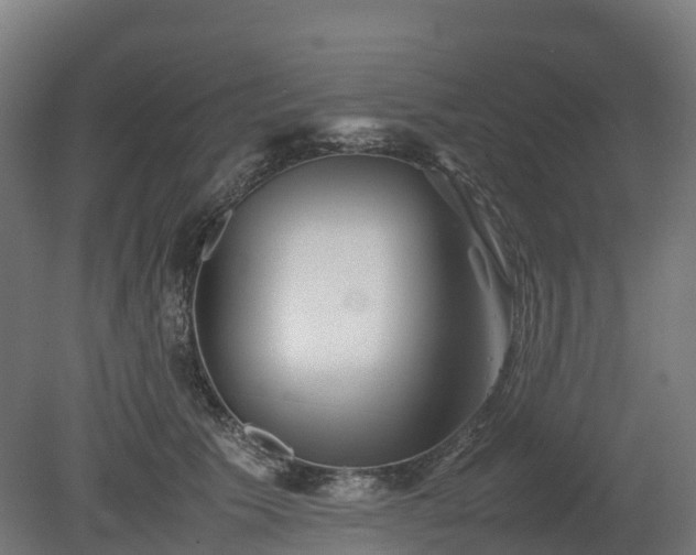 X0000080110609200612151648