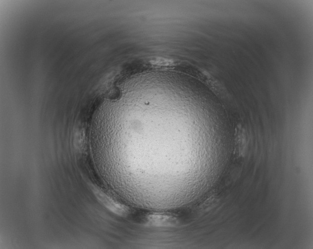 X0000080110614200612151648
