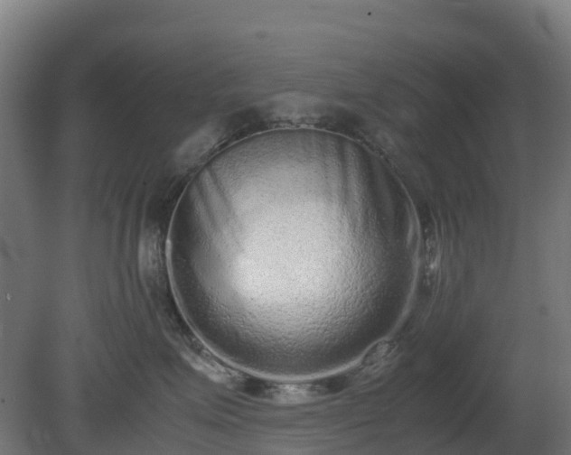 X0000080110623200612151648