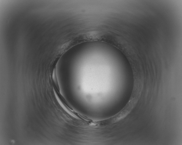 X0000080110624200612151648