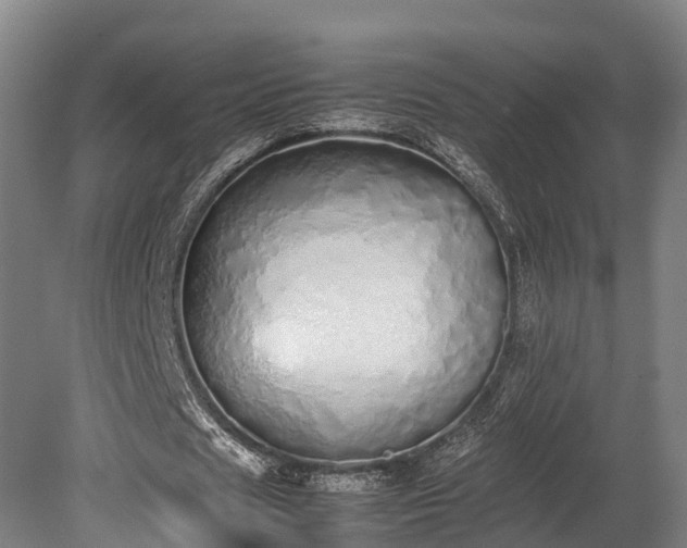 X0000080110625200612151647