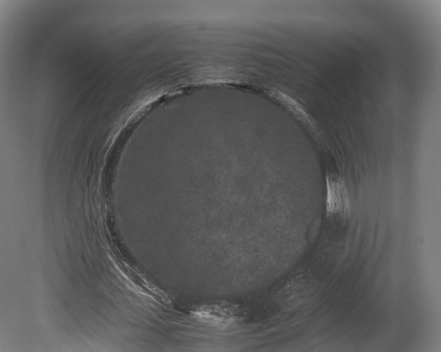 X0000080110627200612151647